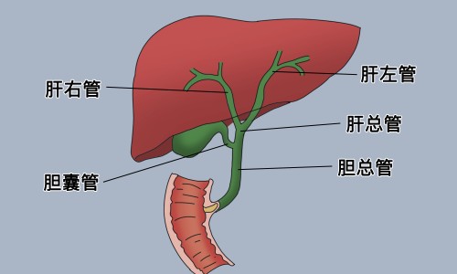 胆结石术引流管病人自行拔掉会怎么样-权威胆结石术引流管病人自行拔掉会怎么样平台,分享专业胆结石引流管脱落有危险吗知识_胆结石术引流管病人自行拔掉网